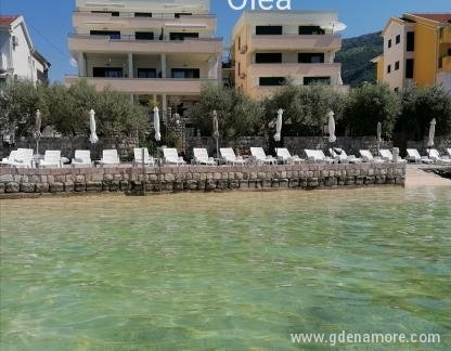 Olea, private accommodation in city Tivat, Montenegro - Olea