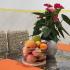 Apartmani Tomić, zasebne nastanitve v mestu Rafailovići, Črna gora - IMG_20211123_142234