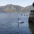 Apartment Radanovic, private accommodation in city Orahovac, Montenegro - viber_image_2022-03-29_17-29-38-481