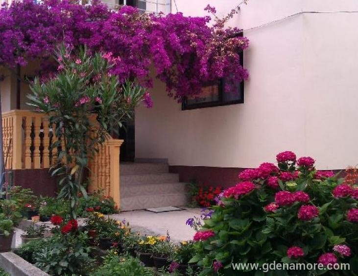 apartmani-sobe-marbo-13