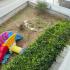 Apartman Marina, privatni smeštaj u mestu Vir, Hrvatska - IMG_20220526_200909