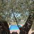 Green dolphin, private accommodation in city Dobre Vode, Montenegro - IMG-07935961b46c8c6b60ea40ce686284e3-V