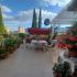 IZDAJEM APARTMAN U IGALU !!!, ενοικιαζόμενα δωμάτια στο μέρος Igalo, Montenegro - IMG-87ab571c05420b049d38f999a305a8e3-V