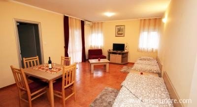 Apartmani Stijepcic, privatni smeštaj u mestu Igalo, Crna Gora