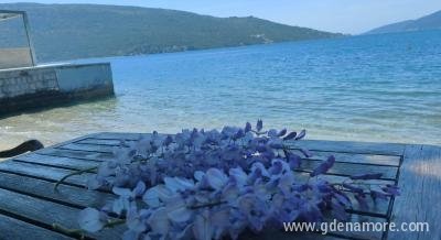 Apartman Lalic,Kumbor, privatni smeštaj u mestu Kumbor, Crna Gora