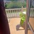 Apartmani Milovanovic , Privatunterkunft im Ort Dobre Vode, Montenegro - IMG-26cf55bdecd3be4082452f9f058b915f-V