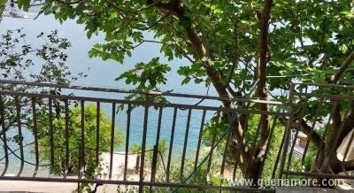 Fig, private accommodation in city Morinj, Montenegro