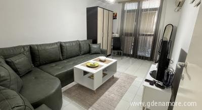 Sivas garsonjera, privatni smeštaj u mestu Bar, Crna Gora