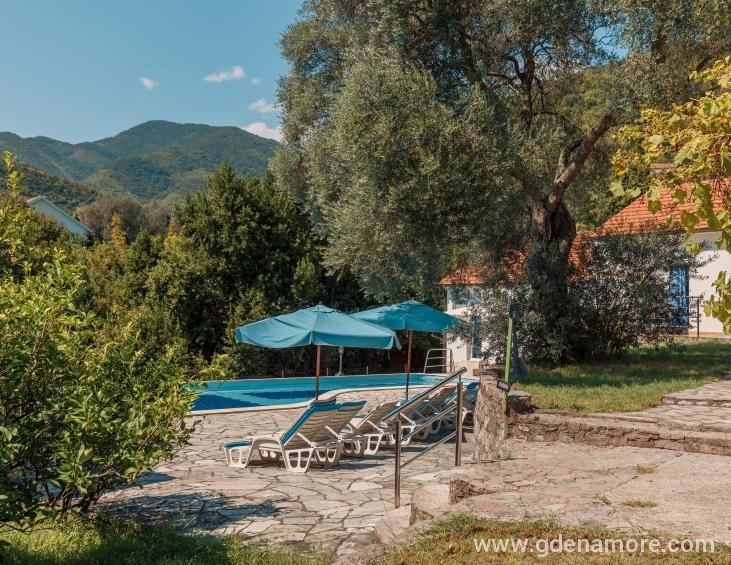 DVORI&amp;amp;amp;amp;amp;amp;amp;Scaron;TE