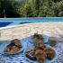 Villa Mia, privatni smeštaj u mestu Bijela, Crna Gora - IMG_1836