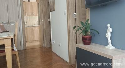 Apartman Dena, privatni smeštaj u mestu Tivat, Crna Gora