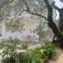 Apartments Ivana, private accommodation in city Ulcinj, Montenegro - 20240620_131717