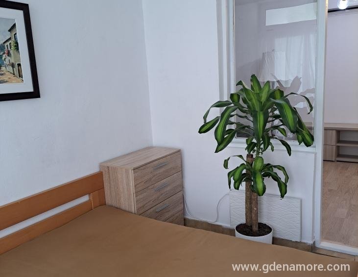 Apartman 4