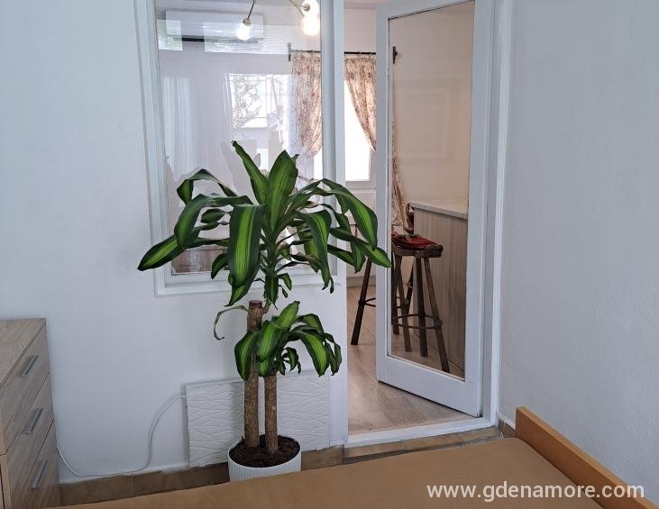 Apartman 4