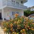Apartments Ivana, private accommodation in city Ulcinj, Montenegro - IMG-f56d132ab377ce87894a1360db930060-V
