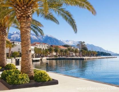 Apartman Tomanovic, Privatunterkunft im Ort Tivat, Montenegro - istockphoto-1171785221-612x612-1