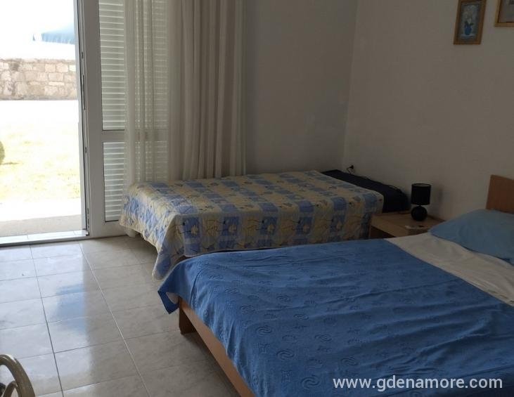 Apartman 1