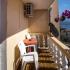 Guest House Lotos, private accommodation in city Bečići, Montenegro - 223749347