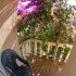 Guest House Lotos, private accommodation in city Bečići, Montenegro - 223751418