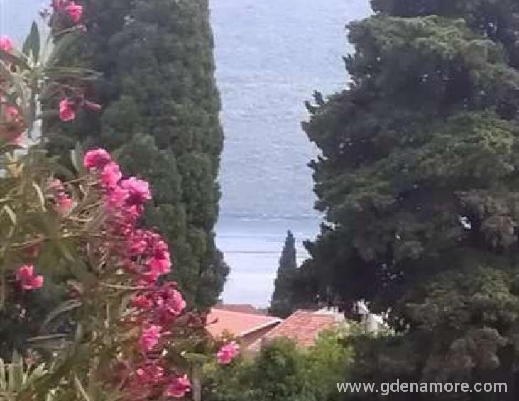 crna-gora-baosici-apartman-2423339-2657637