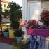 Katerina Studios, alojamiento privado en Svoronata, Grecia - Screenshot_8