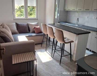 Hedona apartman, zasebne nastanitve v mestu Topla, Črna gora - 0-02-05-5a062dabd5ccbce9be46ac17530f7b4e08b06758ef