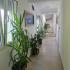 Apartmani Val Sutomore, privatni smeštaj u mestu Sutomore, Crna Gora - 0-02-05-ead55f1ffd025f514c627c20f82a13ce964b4bfbea