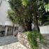 Villa Anastasia Becici, alojamiento privado en Bečići, Montenegro - 0-02-05-ebb61c1dc337de8811c84f922750214833a3358b7c