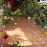Apartmani Grloman, private accommodation in city Sveti Stefan, Montenegro - 42595000