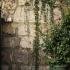 Apartmani Grloman, private accommodation in city Sveti Stefan, Montenegro - 42595393