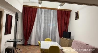 Apartman Ana, privatni smeštaj u mestu Meljine, Crna Gora