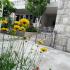 apartmani Pejović, alojamiento privado en Bečići, Montenegro - viber_image_2025-06-27_18-12-30-640