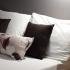 VILLA DIMITRIS, private accommodation in city Paralia Panteleimona, Greece - STUDIO