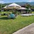 VILLA DIMITRIS, private accommodation in city Paralia Panteleimona, Greece - GARDEN