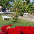 VILLA DIMITRIS, private accommodation in city Paralia Panteleimona, Greece - GARDEN 