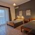 VILLA DIMITRIS, private accommodation in city Paralia Panteleimona, Greece - APARTMENT 2-3PAX