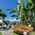 VILLA DIMITRIS, private accommodation in city Paralia Panteleimona, Greece - GARDEN