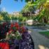 VILLA DIMITRIS, private accommodation in city Paralia Panteleimona, Greece - GARDEN