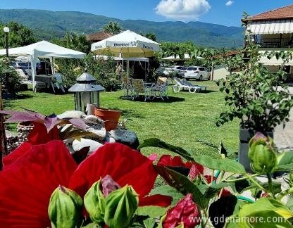VILLA DIMITRIS, private accommodation in city Paralia Panteleimona, Greece - VILLA DIMITRIS GARDEN