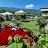 VILLA DIMITRIS, private accommodation in city Paralia Panteleimona, Greece - VILLA DIMITRIS GARDEN