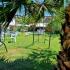VILLA DIMITRIS, private accommodation in city Paralia Panteleimona, Greece - GARDEN
