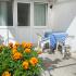 APARTMANI KOPITOVIĆ, 1. TROKREVETNI STUDIO, privatni smeštaj u mestu Petrovac, Crna Gora