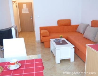Appartements &quot;Rose&quot;, logement privé à Baška Voda, Croatie - Dnevni boravak