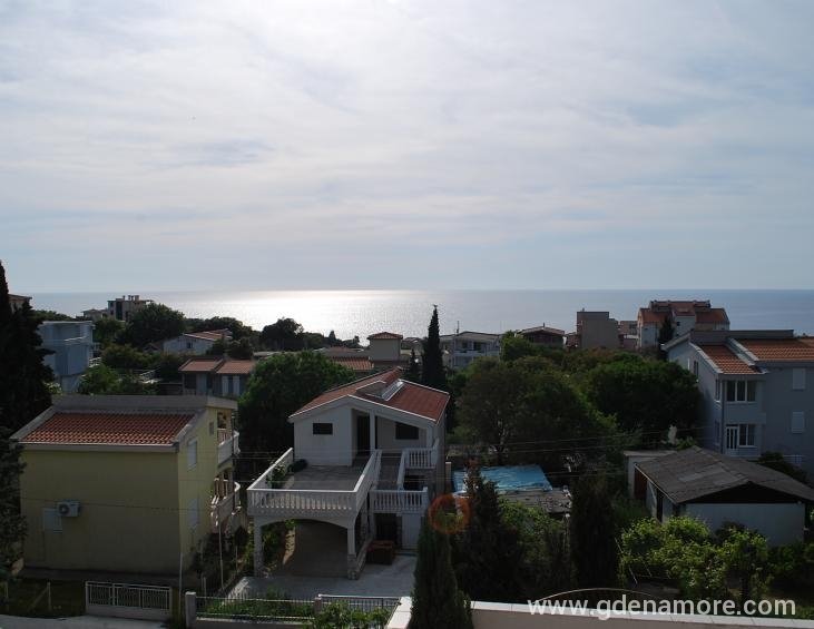 Apartman 8