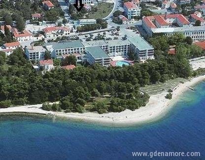 Denis, private accommodation in city Zadar, Croatia