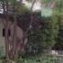 Smestaj Milica, Apartman 1, privatni smeštaj u mestu Petrovac, Crna Gora - 8