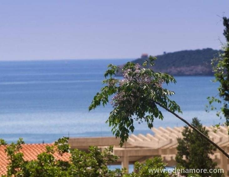 porodicni-apartman-budva