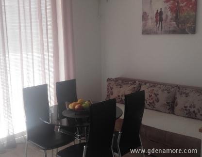 APARTMAJI BASIC - SEPTEMBER POSEBNA PONUDBA 8 EUR NA OSEBO, zasebne nastanitve v mestu Herceg Novi, Črna gora - 20190602_135958