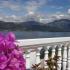 Wohnungen Nada, , Privatunterkunft im Ort Krašići, Montenegro - PICT1316