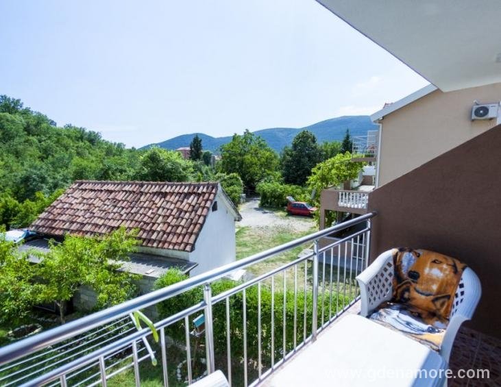 viber_image_2019-06-27_14-11-264